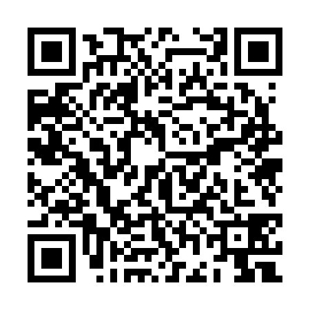 QR code for ZGO2381