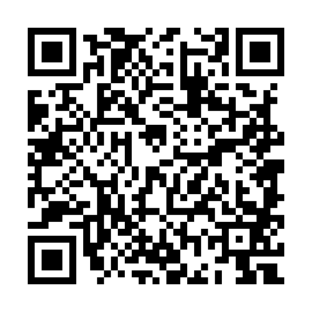 QR code for ZGT9838