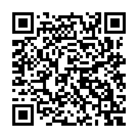 QR code for ZH29CO