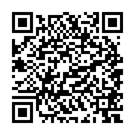 QR code for ZHN2489