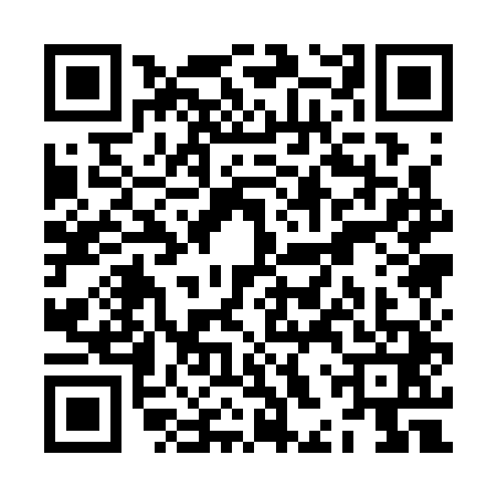 QR code for ZHQ3411