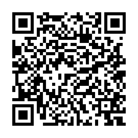 QR code for ZHS1011