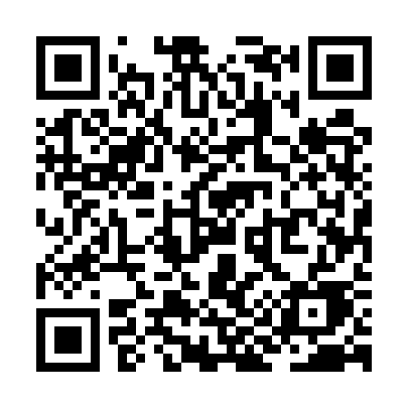 QR code for ZI55SE