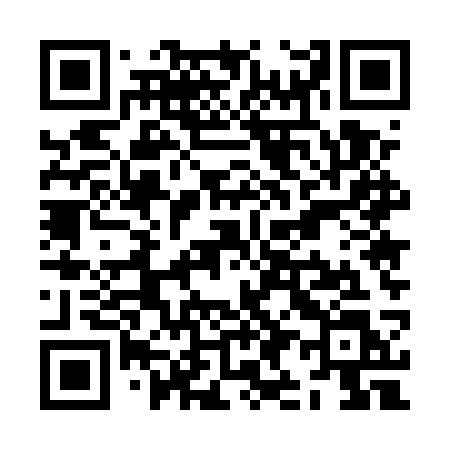 QR code for ZI55SL