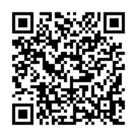 QR code for ZI95IN