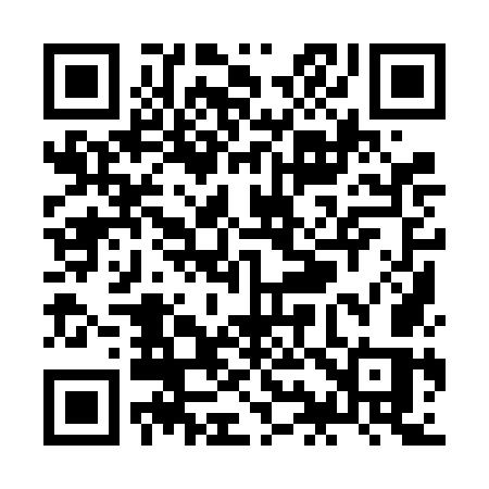 QR code for ZI96OS