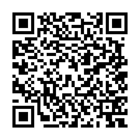 QR code for ZIG4731