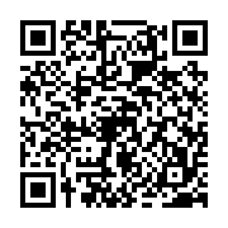 QR code for ZIQ2163