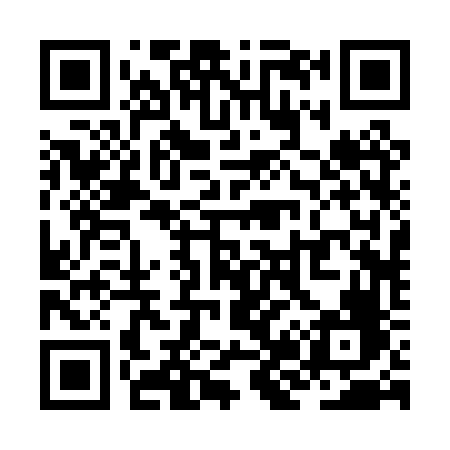 QR code for ZJ20VF
