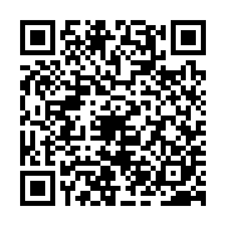 QR code for ZJG3809