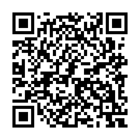 QR code for ZK81IO