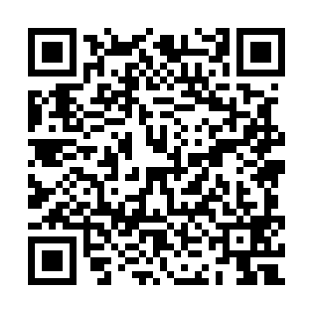 QR code for ZKM5991