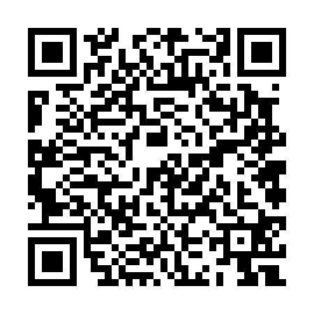 QR code for ZKV0207