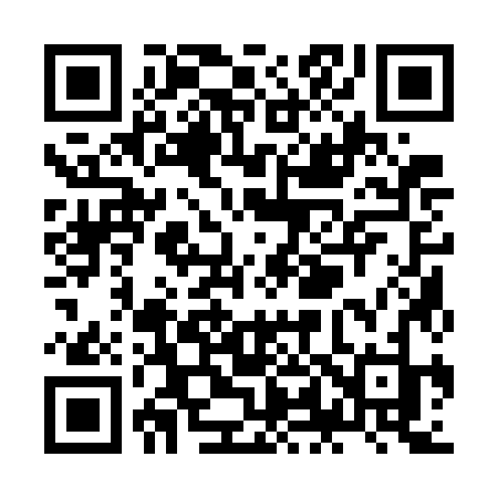 QR code for ZL17JJ