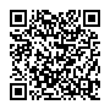 QR code for ZL29RF