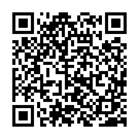 QR code for ZL85US