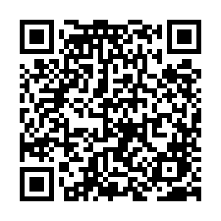 QR code for ZL95NN