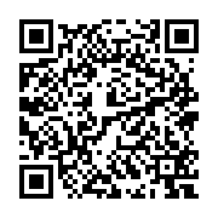 QR code for ZLI3136