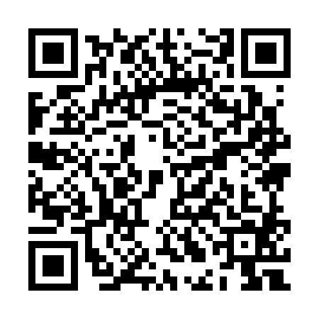 QR code for ZLI3847
