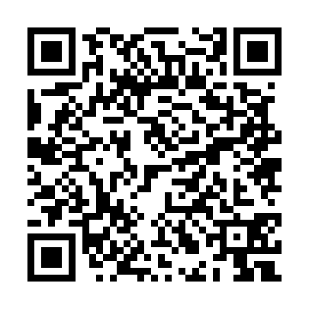QR code for ZLJ5309
