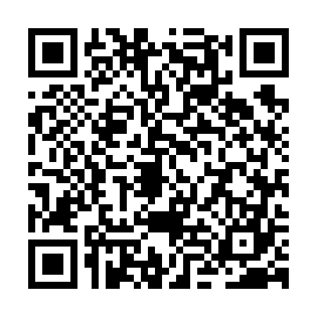QR code for ZLM6676