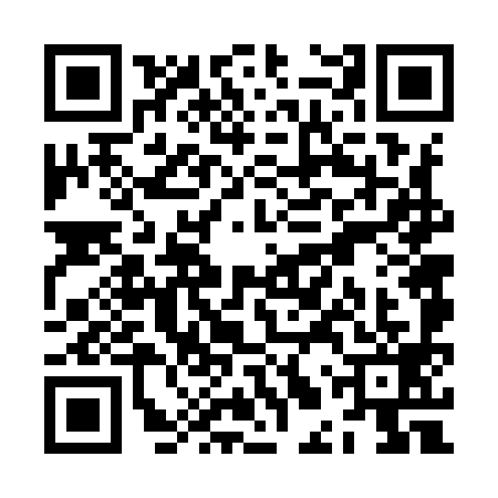 QR code for ZLV9991