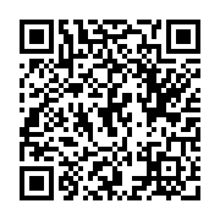 QR code for ZMD3009