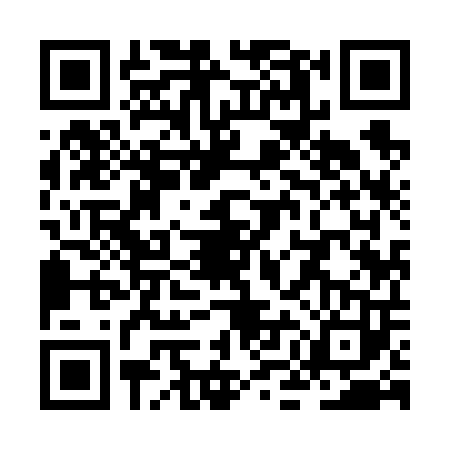 QR code for ZMI6036