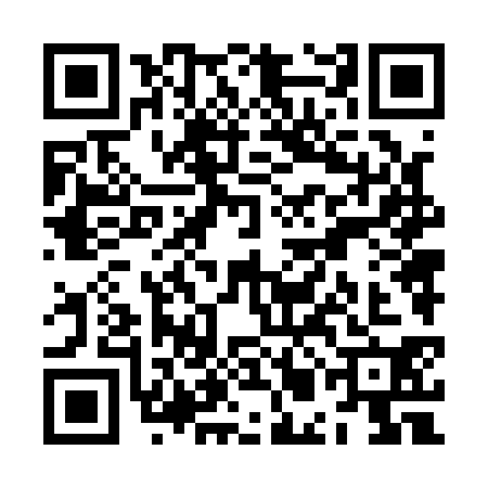 QR code for ZMN1306