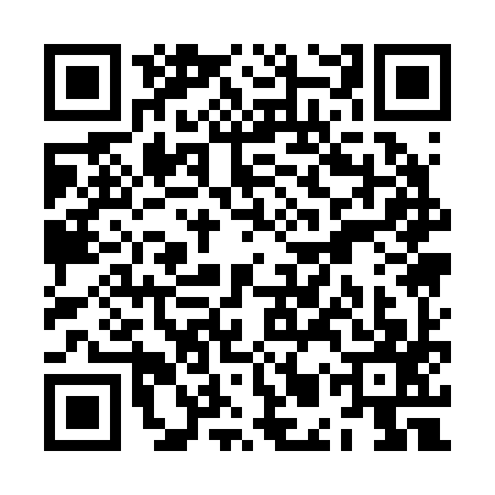 QR code for ZMQ2979