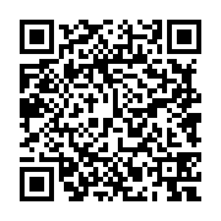 QR code for ZMT8383