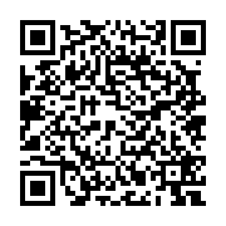 QR code for ZMZ0296