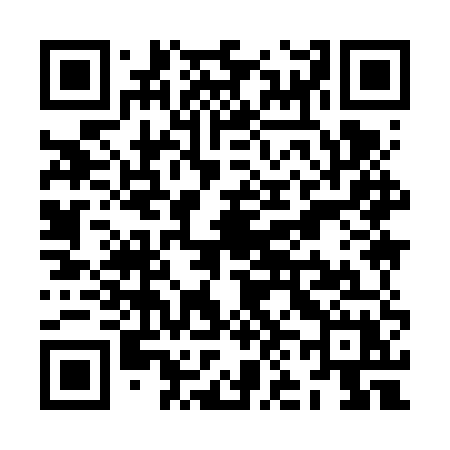 QR code for ZN96UX