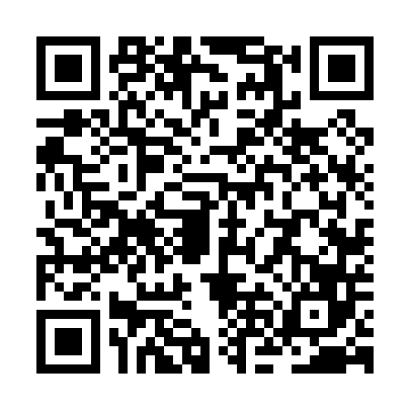 QR code for ZNF0463