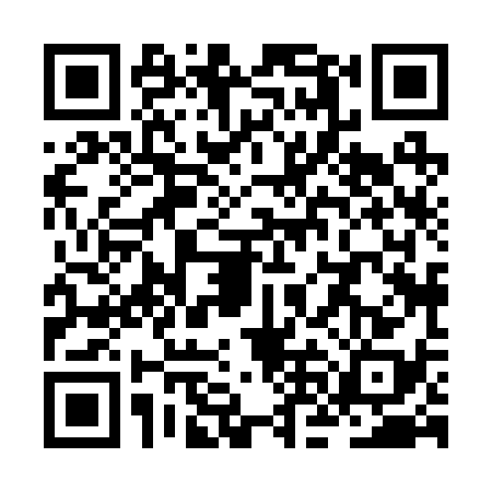 QR code for ZNH2384