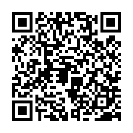 QR code for ZNN4828