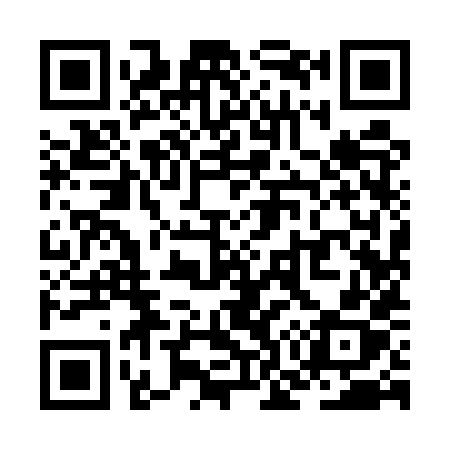 QR code for ZO95XX