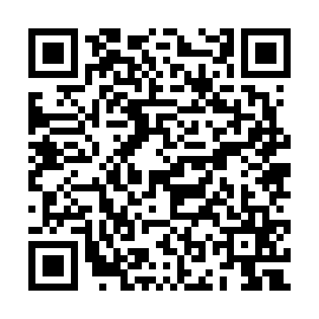 QR code for ZOZ6651