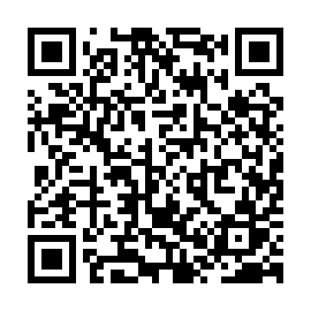 QR code for ZP11QR