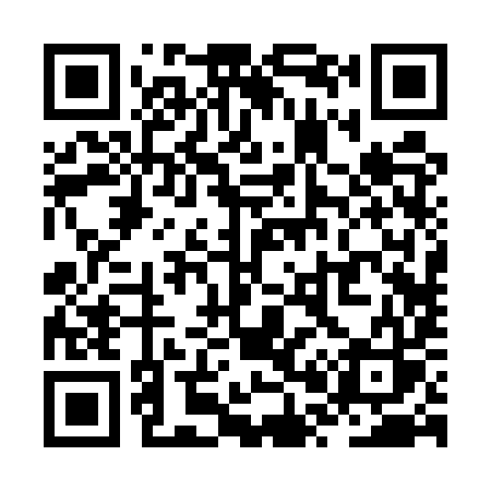 QR code for ZP25YS