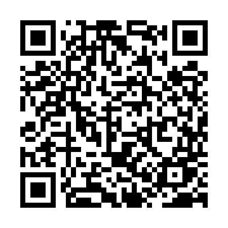 QR code for ZP95TU