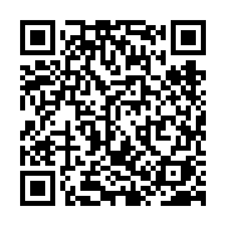 QR code for ZP96GI