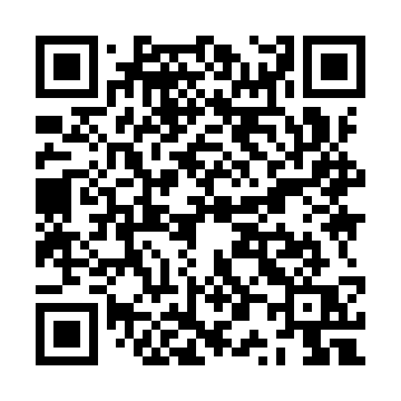 QR code for ZP99SQ