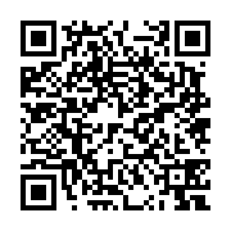 QR code for ZPJ4385