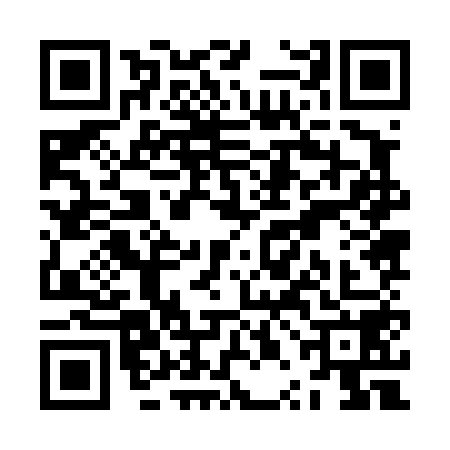 QR code for ZPJ4580