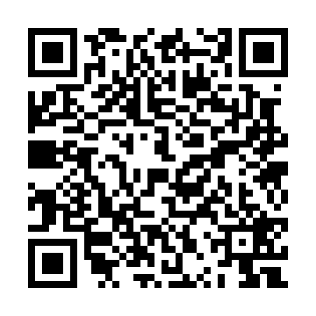 QR code for ZPS0295