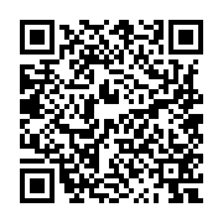 QR code for ZQB9535