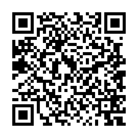 QR code for ZQD0691