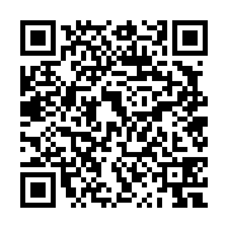 QR code for ZQG4382