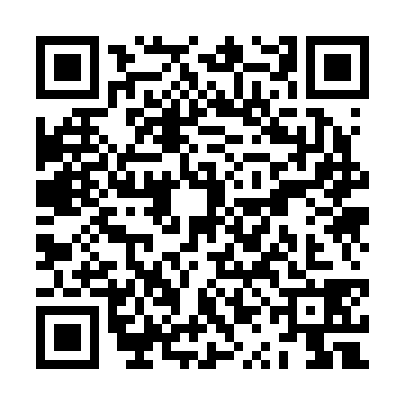 QR code for ZQK2385